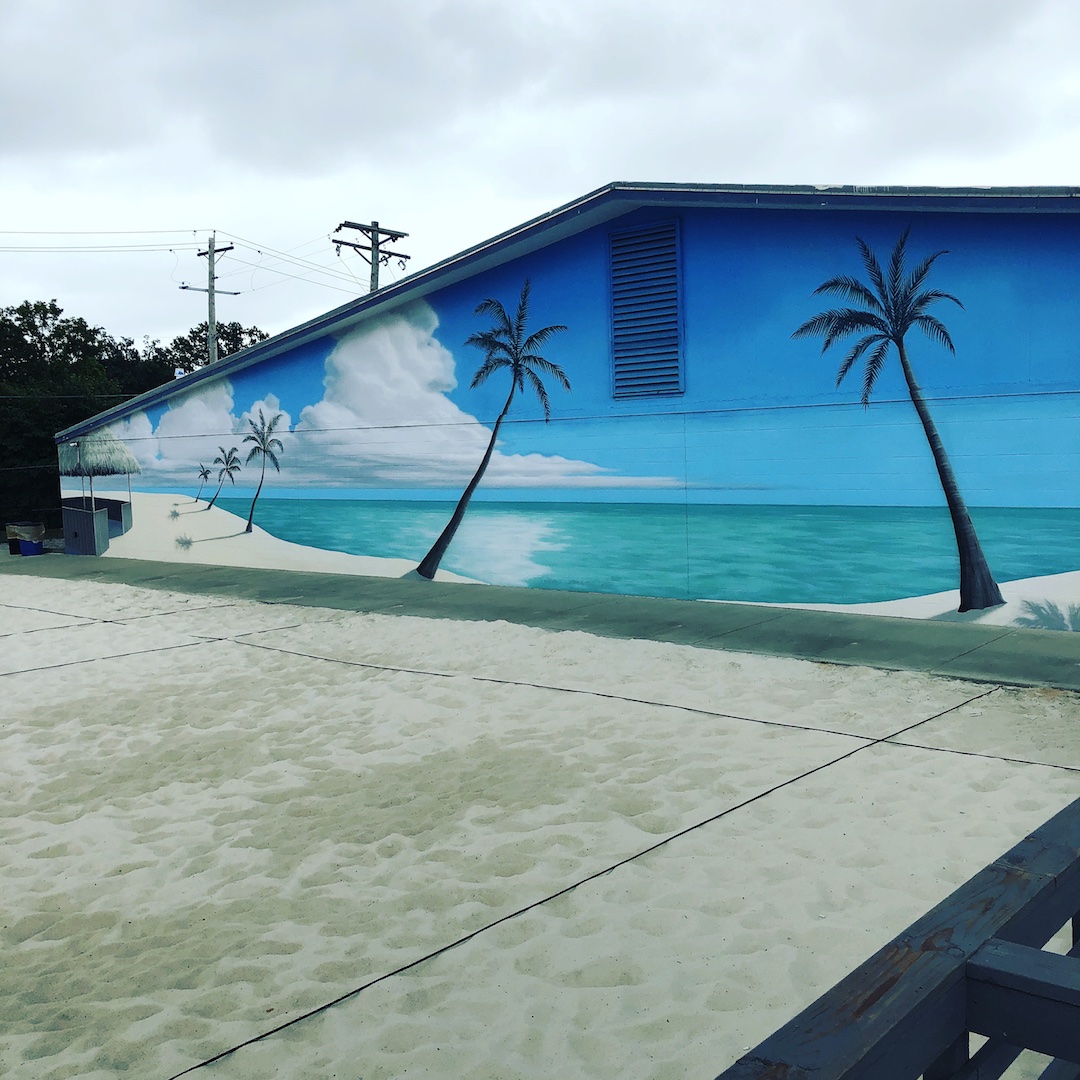 Volleyball Beach 365